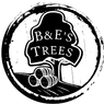 B and E Trees